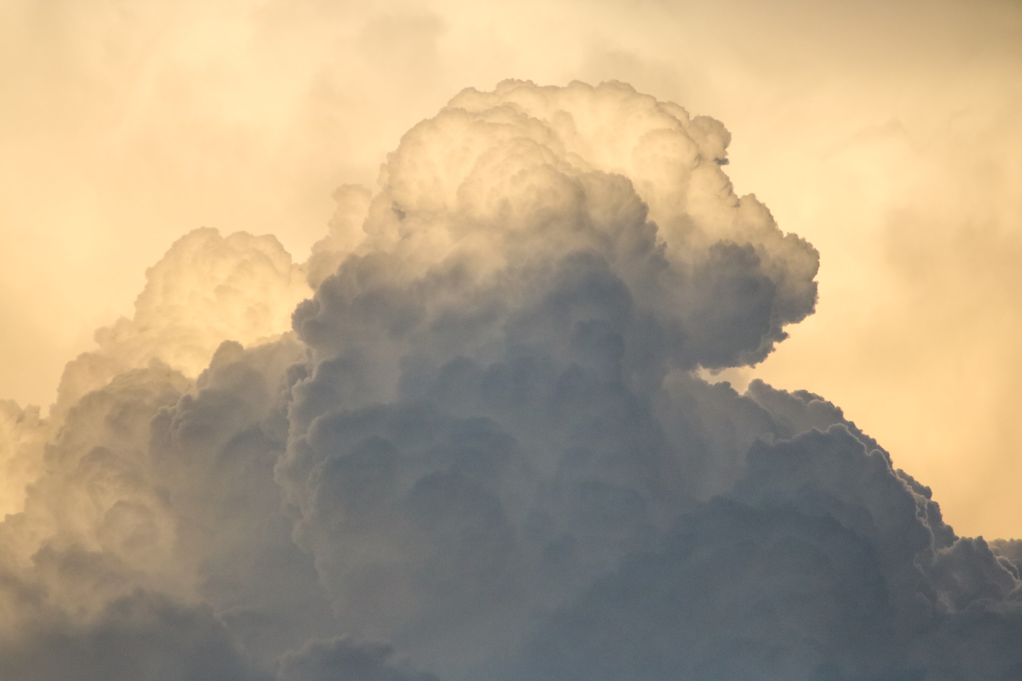 Canon EOS 760D (EOS Rebel T6s / EOS 8000D) sample photo. This cloud has many faces photography