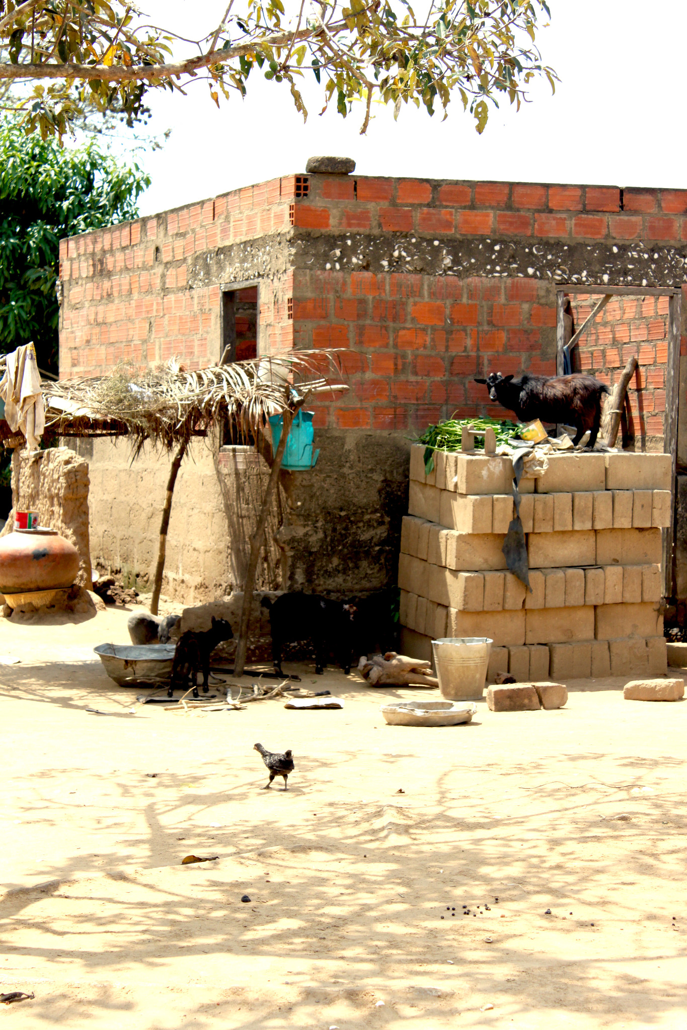 Canon EF-S 18-55mm F3.5-5.6 IS sample photo. Ghana photography
