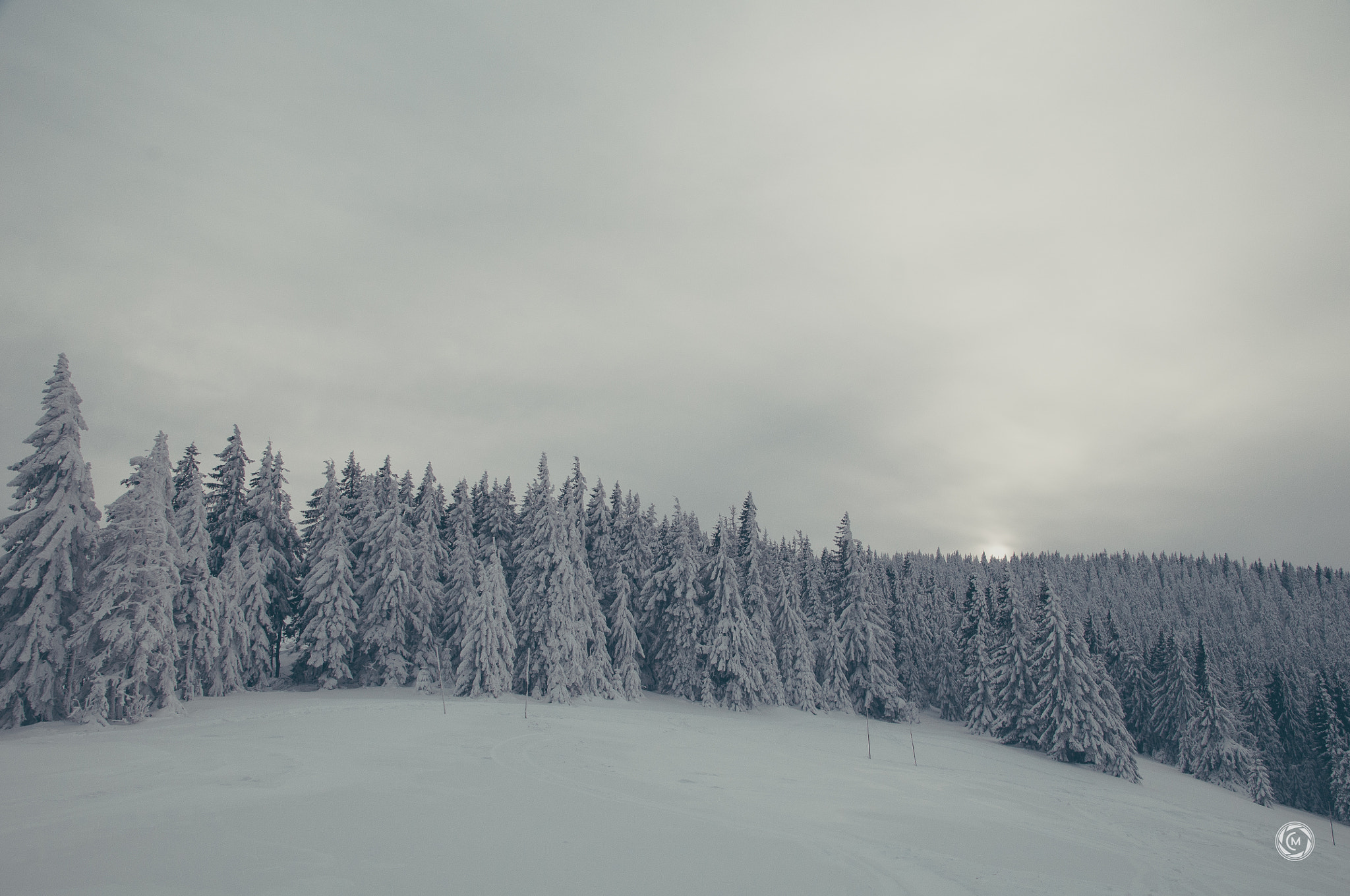Sigma 17-50mm F2.8 EX DC OS HSM sample photo. Winter photography