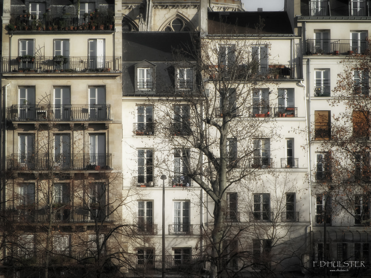 Canon EF 28-80mm f/3.5-5.6 USM sample photo. Modifier photography