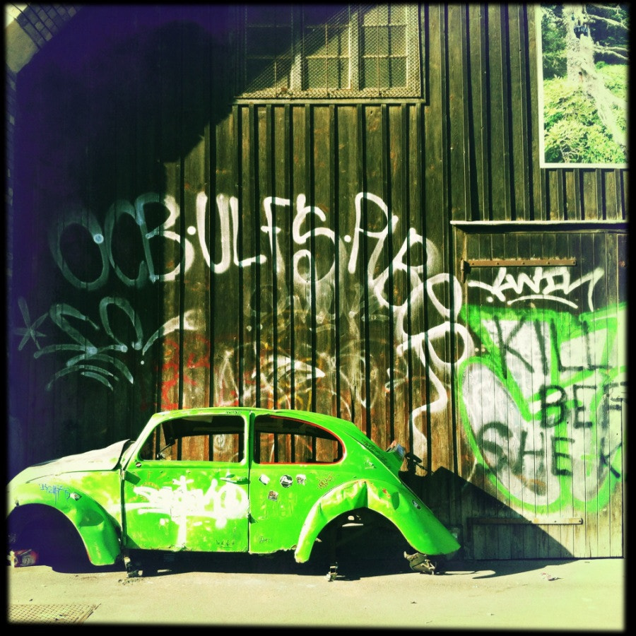Hipstamatic 272 sample photo. Beetle photography