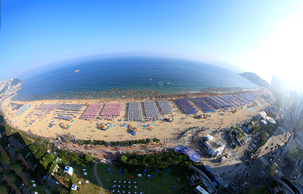 Canon EOS 5DS R + Canon EF 8-15mm F4L Fisheye USM sample photo. Summer photography