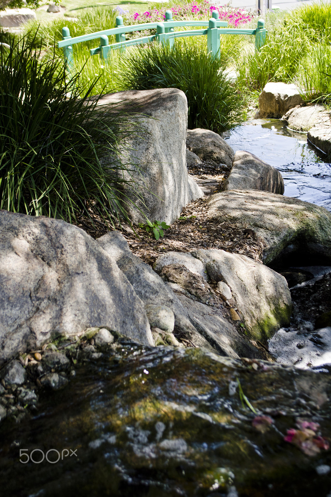 AF Zoom-Nikkor 75-300mm f/4.5-5.6 sample photo. Tranquil waters photography