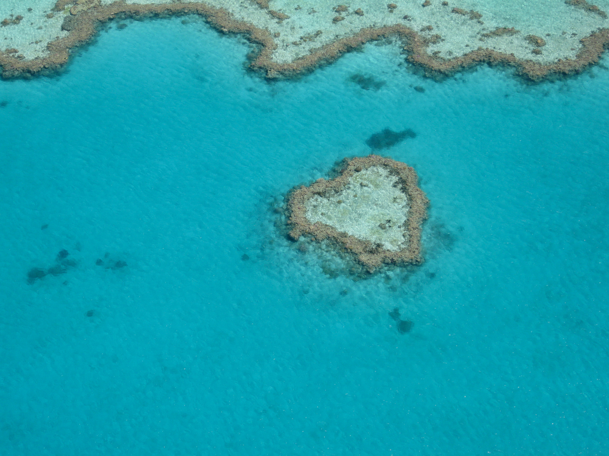 Canon PowerShot SD770 IS (Digital IXUS 85 IS / IXY Digital 25 IS) sample photo. Great barrier reef, australia photography