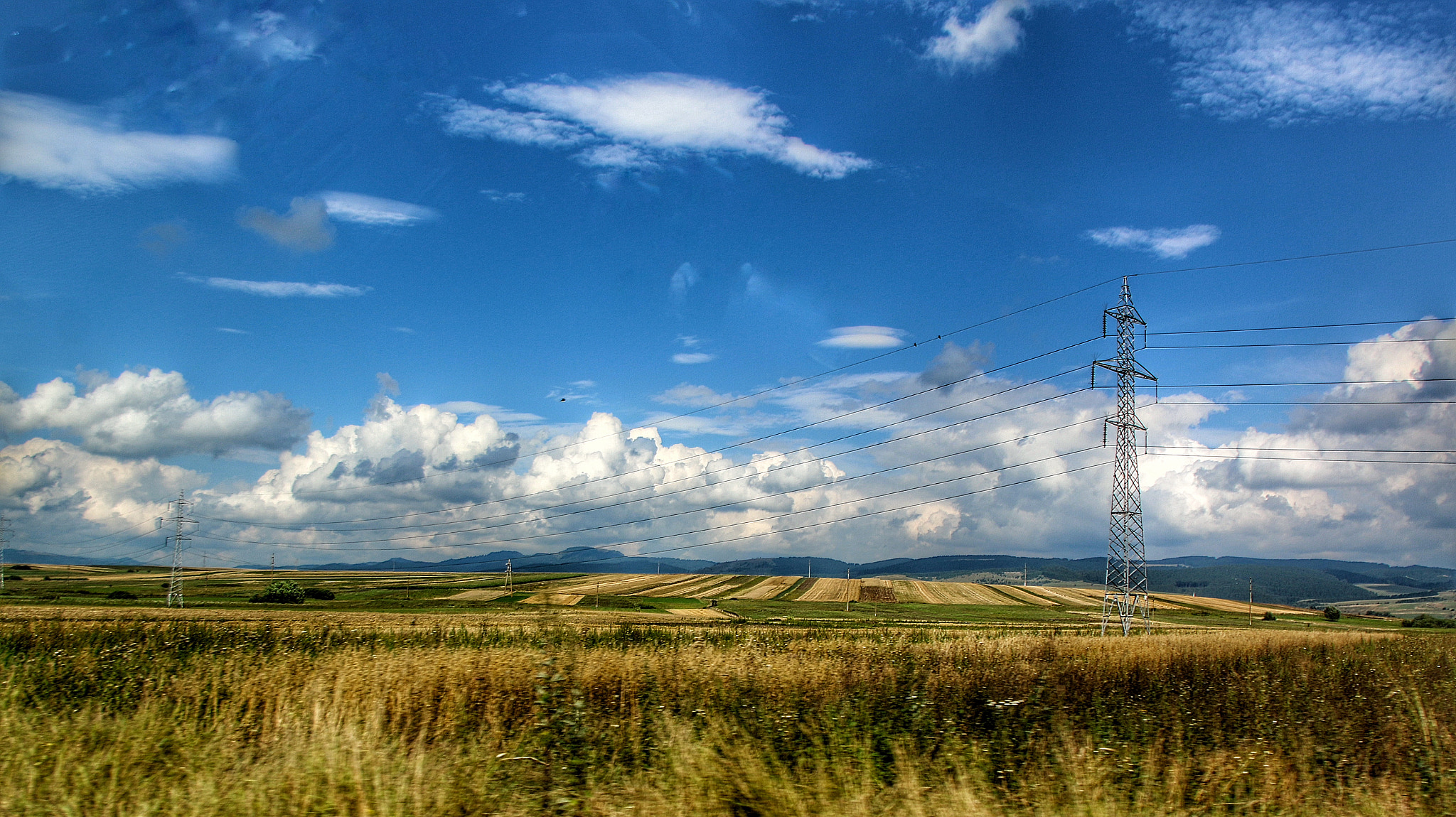 Sigma 18-125mm F3.8-5.6 DC OS HSM sample photo. Wild nature photography