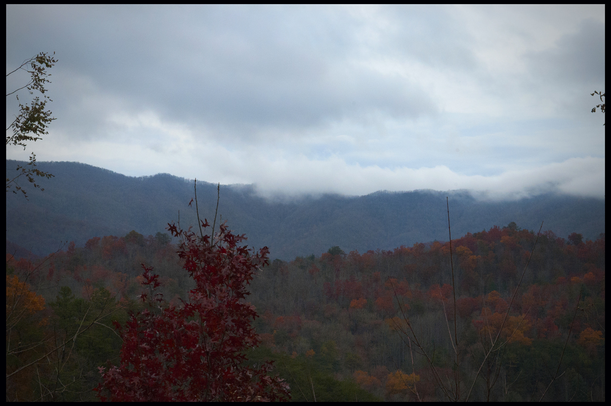 AF Zoom-Nikkor 24-120mm f/3.5-5.6D IF sample photo. Misc north carolina photography