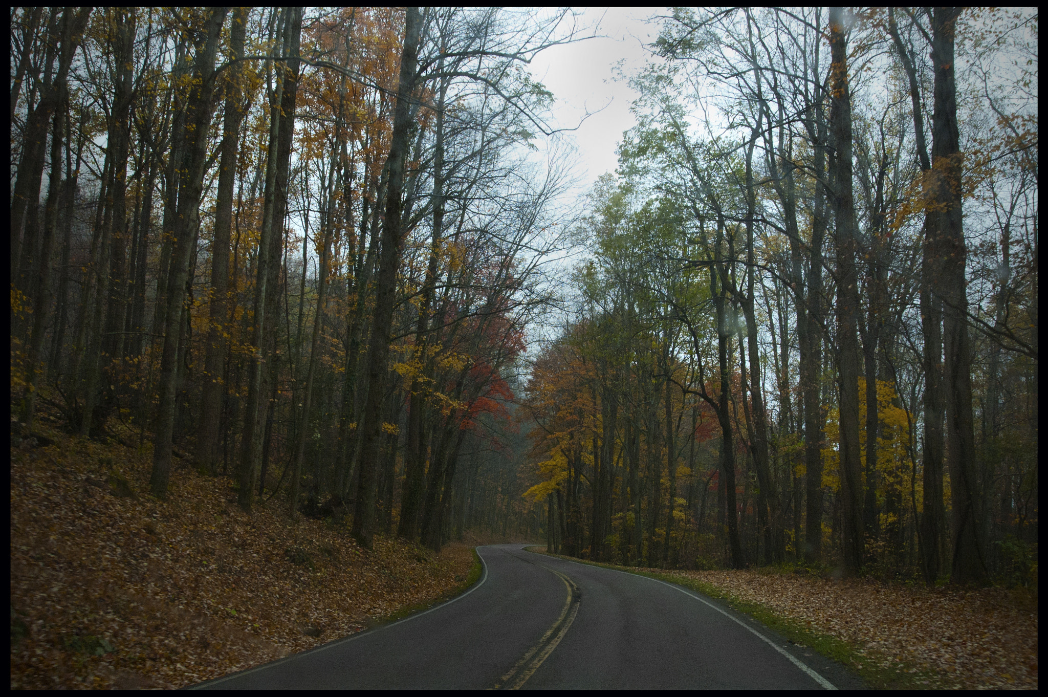 Nikon D70 + AF Zoom-Nikkor 24-120mm f/3.5-5.6D IF sample photo. Blue ridge drive photography