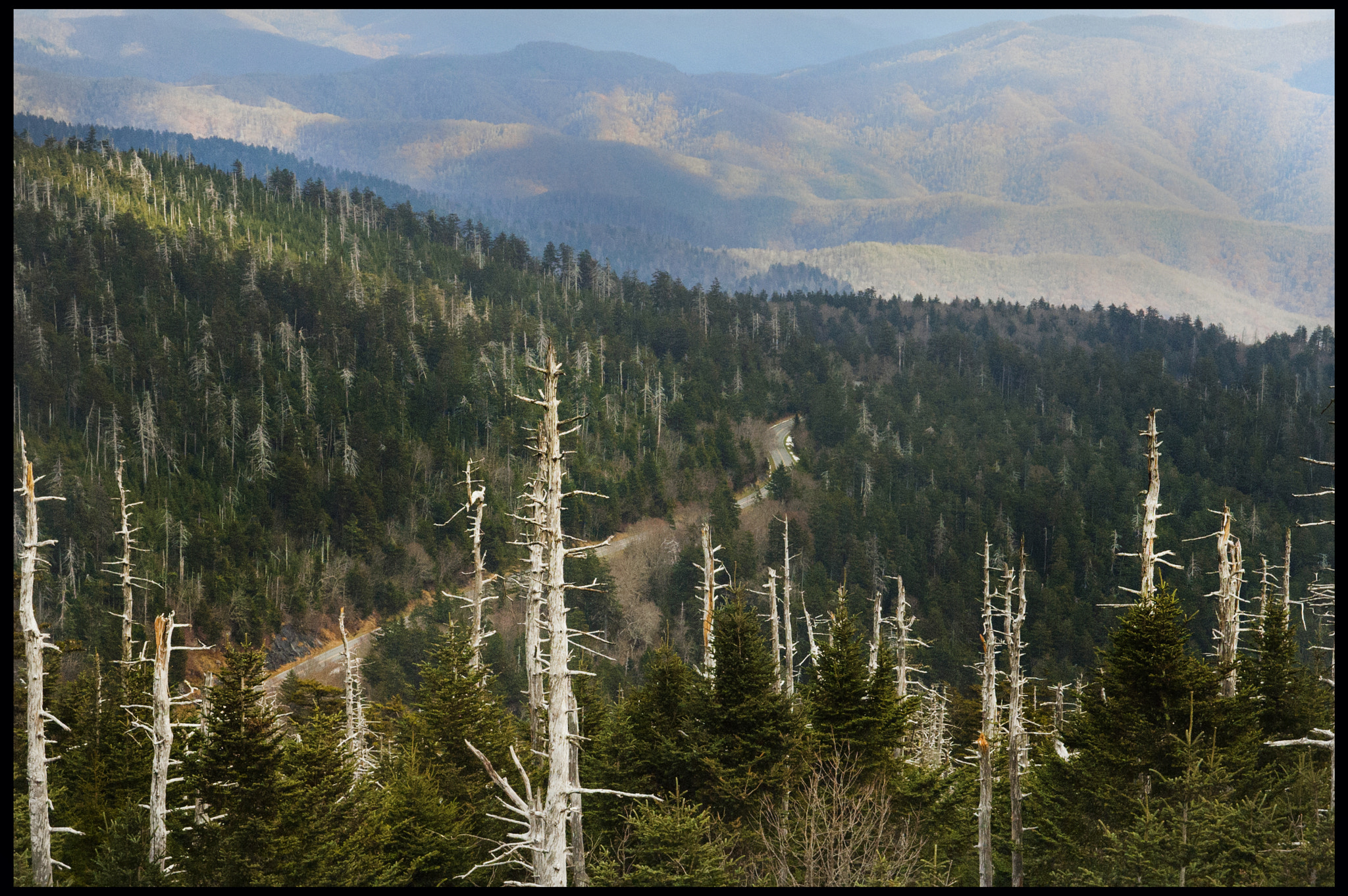 AF Zoom-Nikkor 24-120mm f/3.5-5.6D IF sample photo. North carolina hike, looking down photography