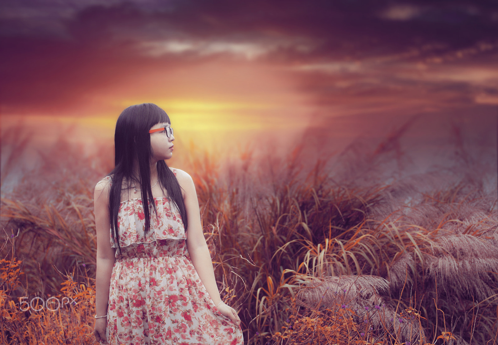 Canon EOS 50D + Canon EF 40mm F2.8 STM sample photo. Waiting photography