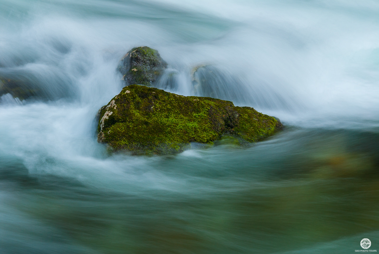 Nikon D200 sample photo. Lost in the river photography