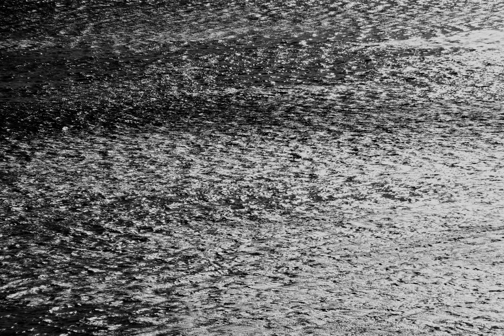 Canon EOS 500D (EOS Rebel T1i / EOS Kiss X3) sample photo. Rapithwin photography