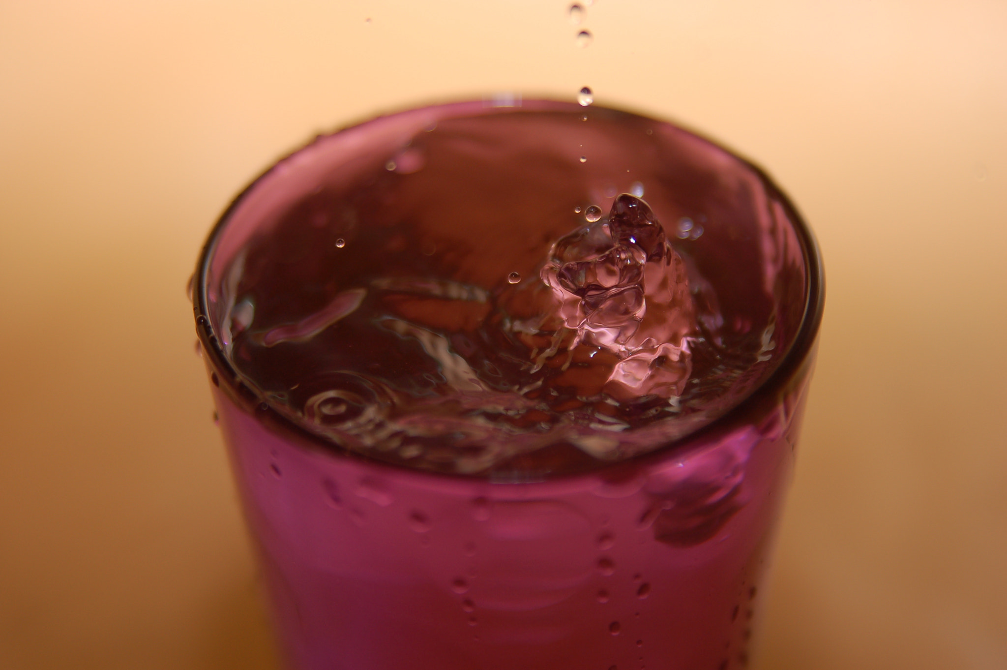 Nikon D50 sample photo. The last one.... photography
