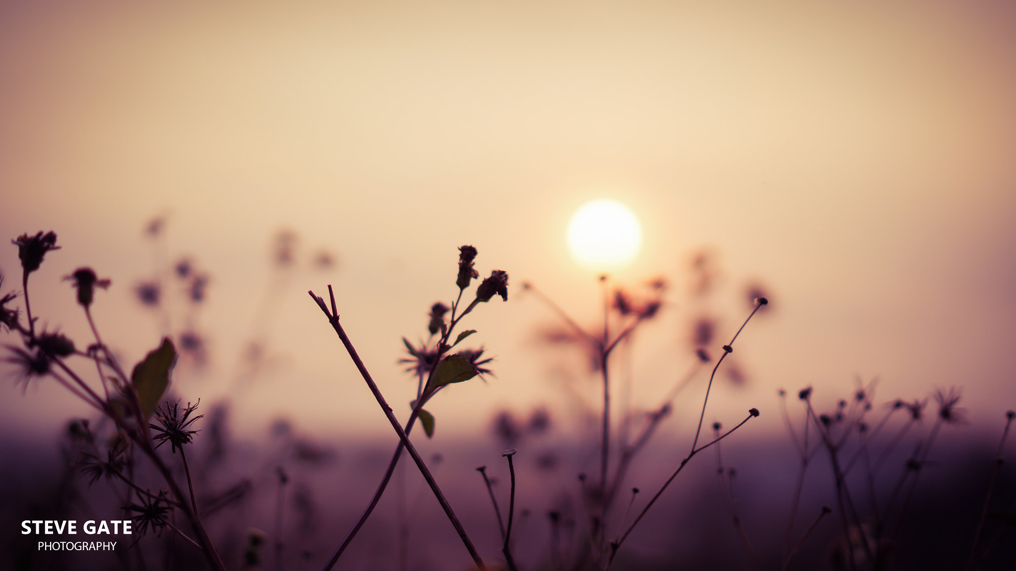 Sony E 35mm F1.8 OSS sample photo. Sky sunshine photography