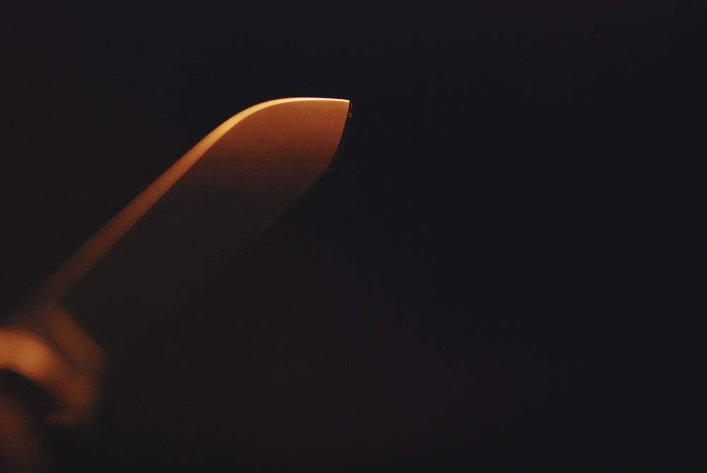 Nikon AF-S Micro-Nikkor 105mm F2.8G IF-ED VR sample photo. Fire blade photography