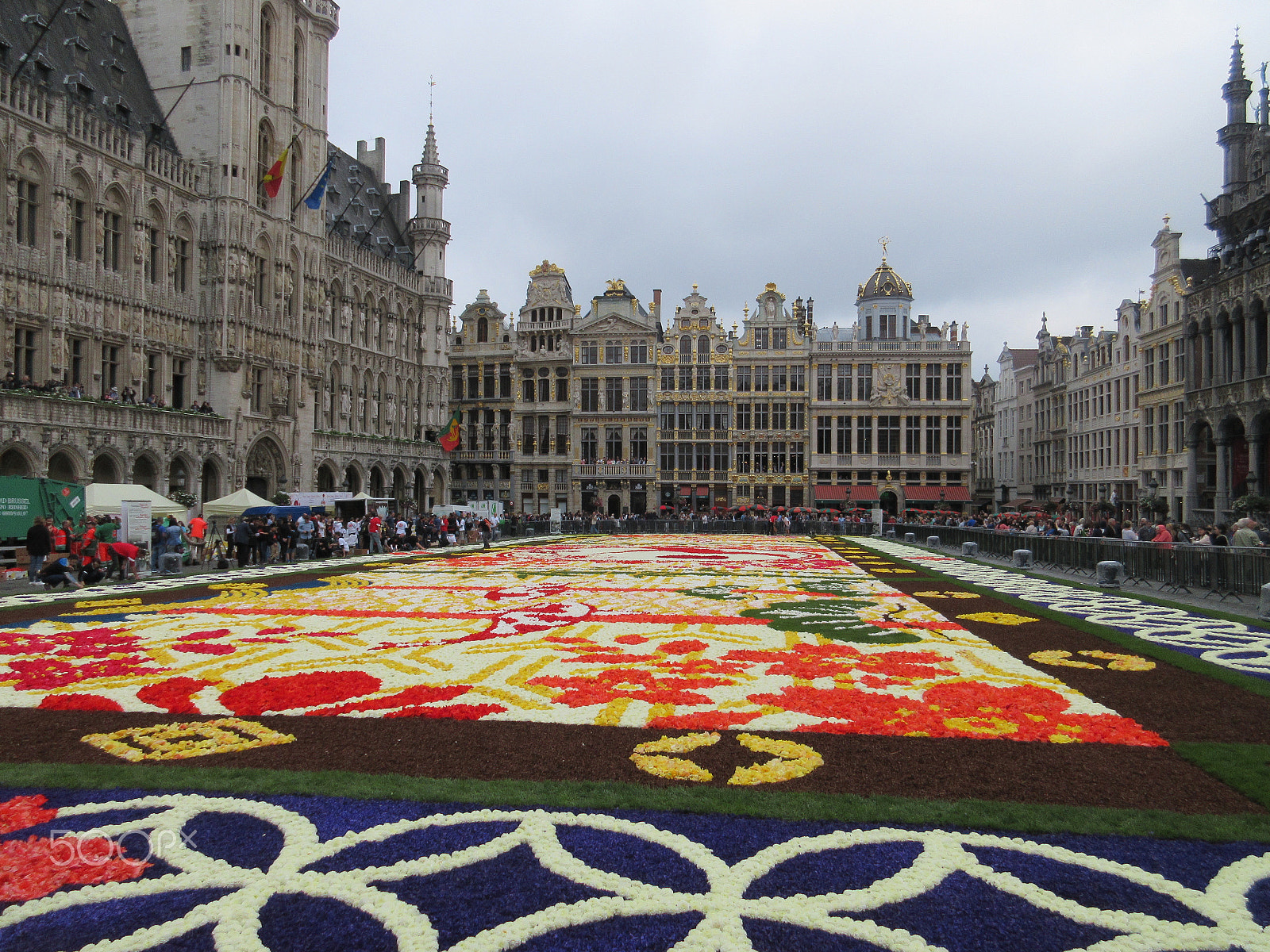 Canon PowerShot ELPH 350 HS (IXUS 275 HS / IXY 640) sample photo. Brussel's flowers carpet 2016 photography