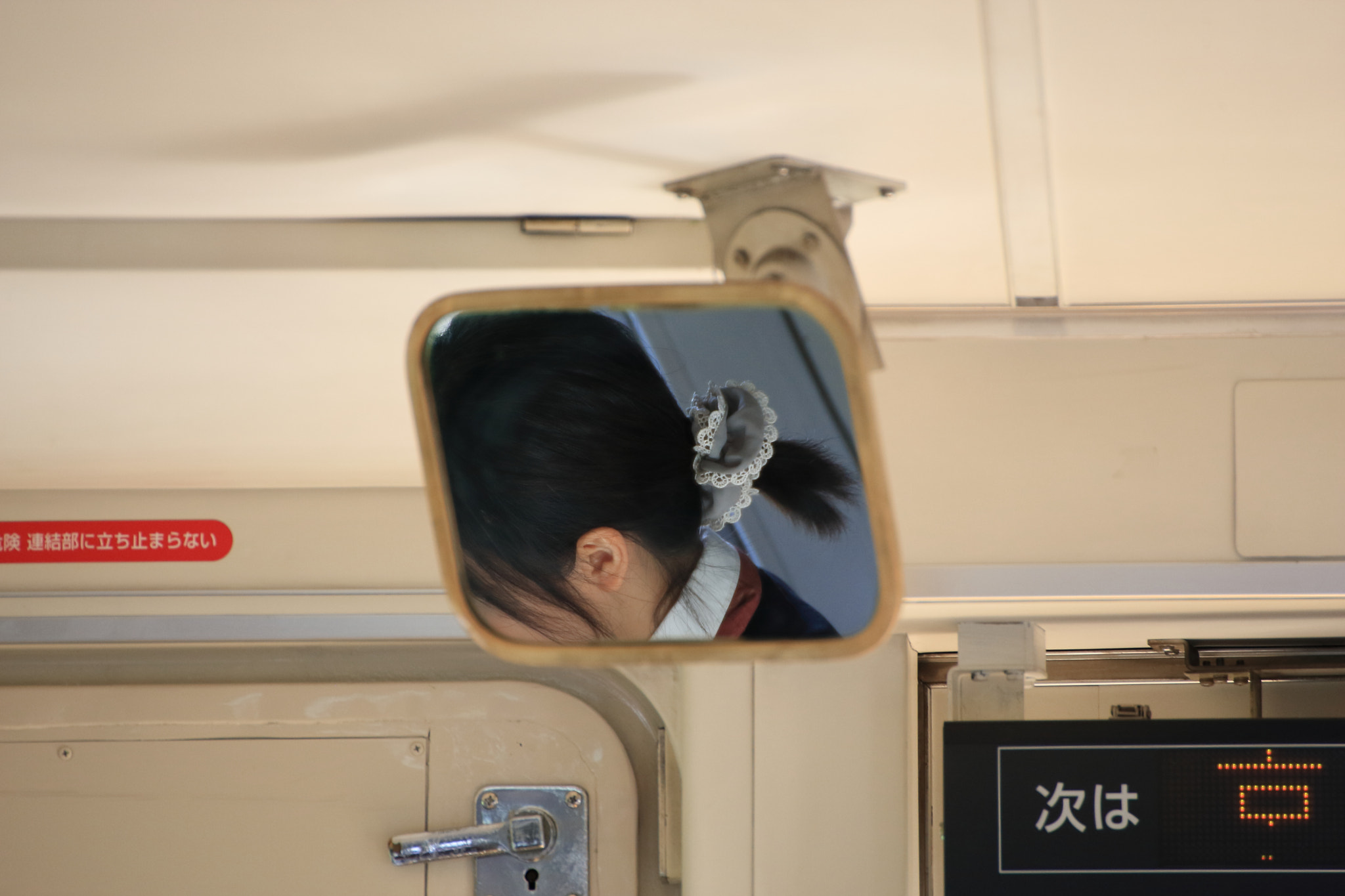 Canon EOS-1D Mark III sample photo. Ponytail and chou chou photography