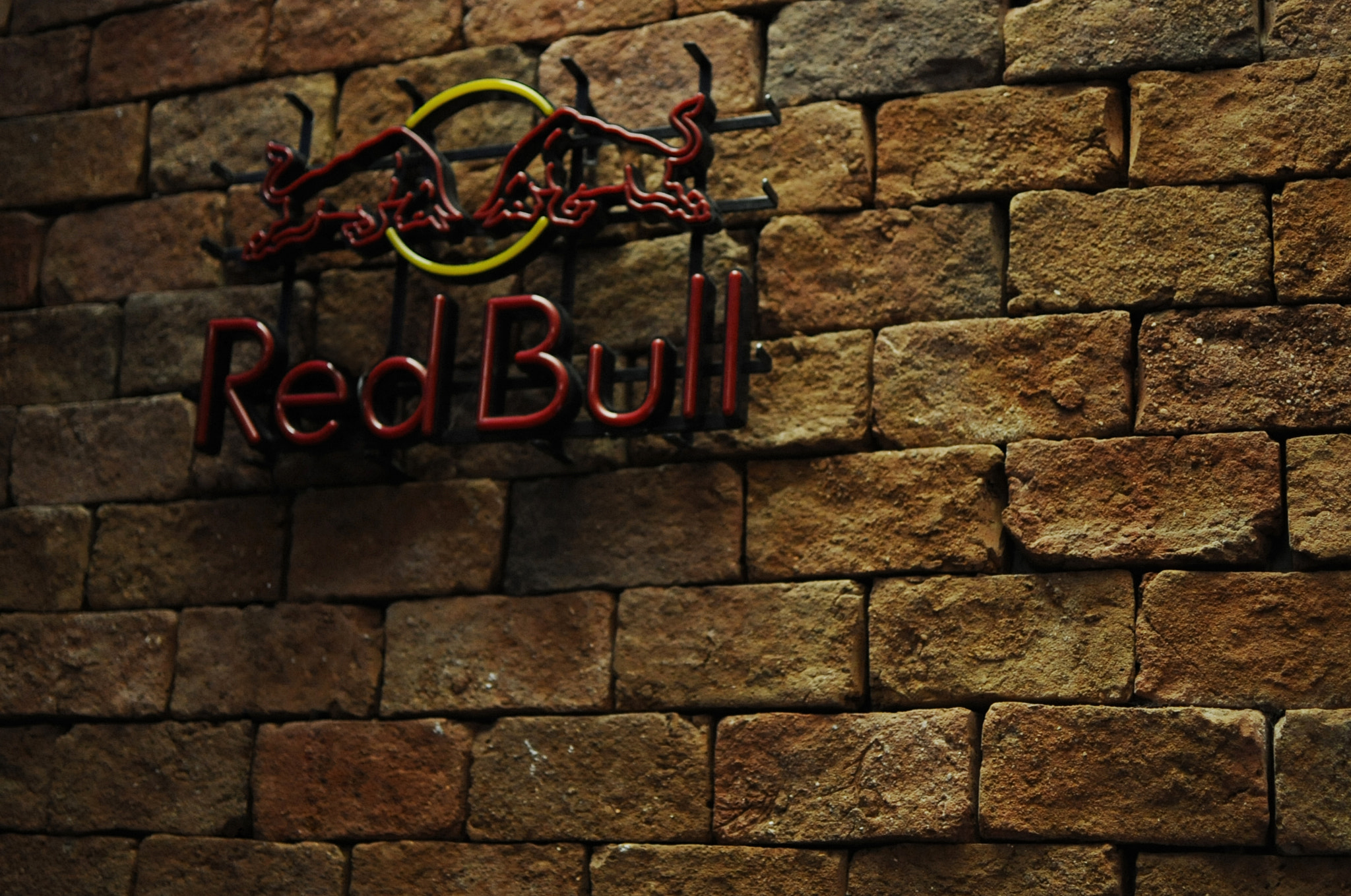 Nikon D700 + Nikon AF-S DX Nikkor 35mm F1.8G sample photo. Bull photography