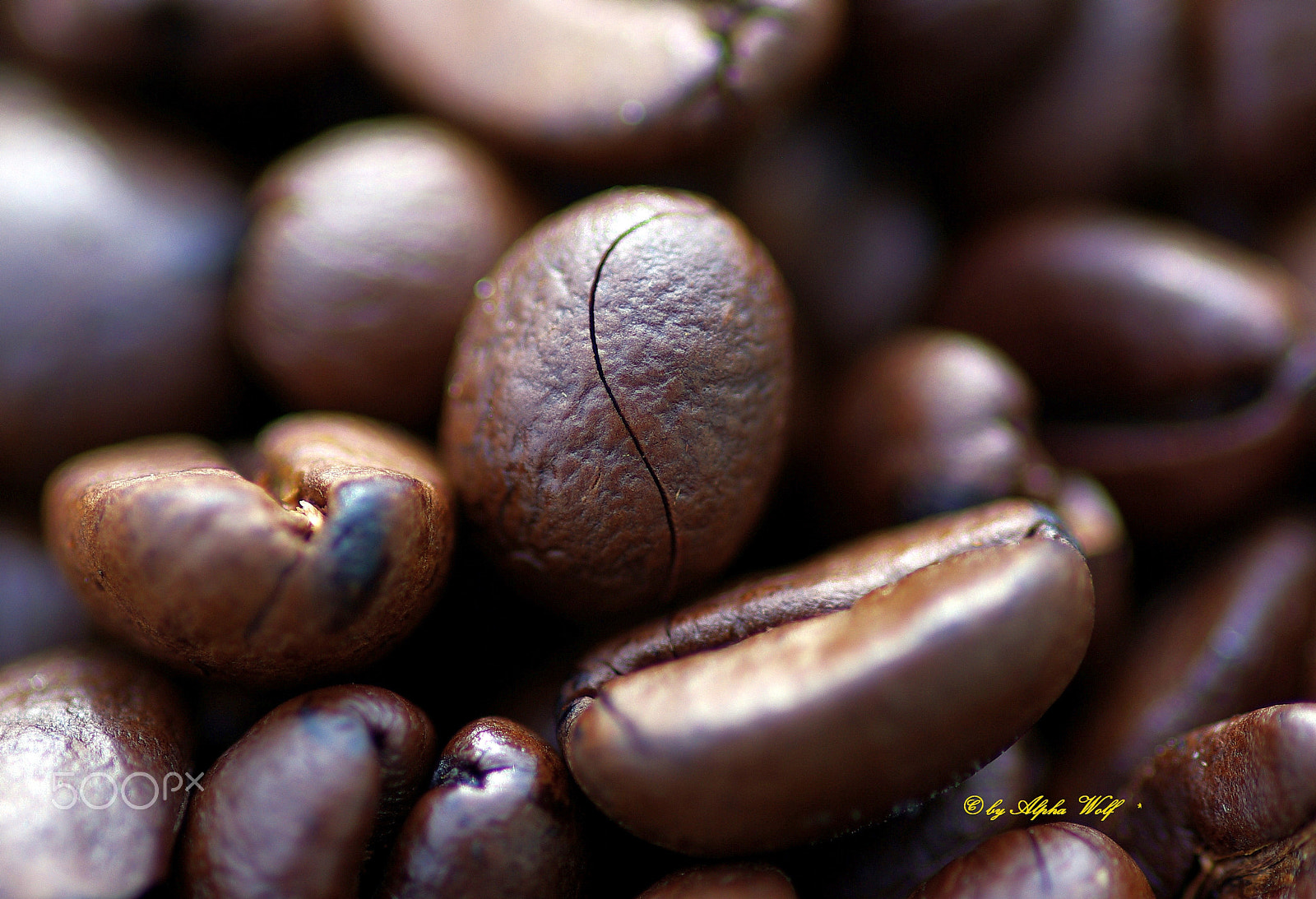 Pentax smc D-FA 100mm F2.8 Macro WR sample photo. Coffee beans photography