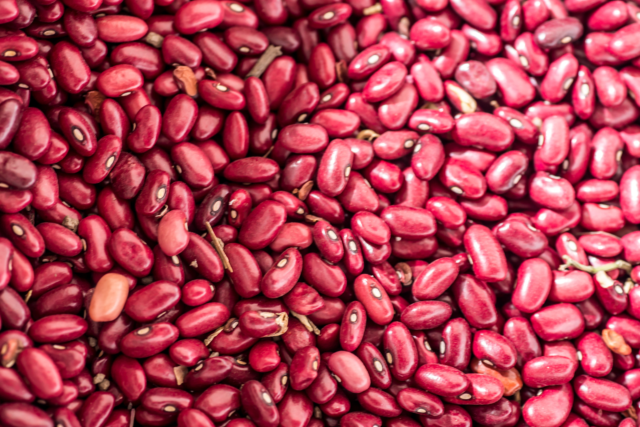 Canon EOS 6D + Tamron SP AF 90mm F2.8 Di Macro sample photo. Red beans pattern as background photography