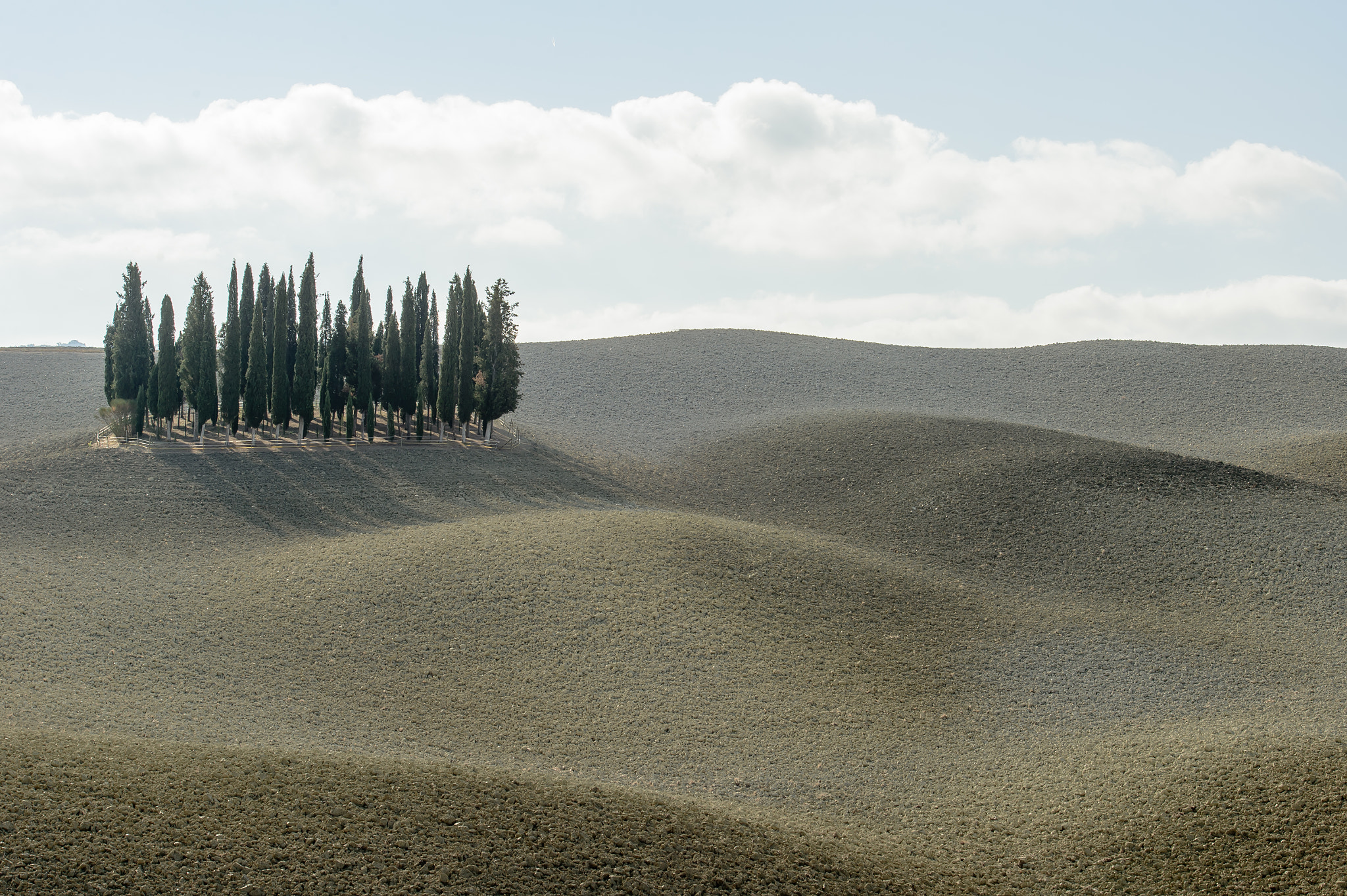 Nikon Df sample photo. Toscana photography