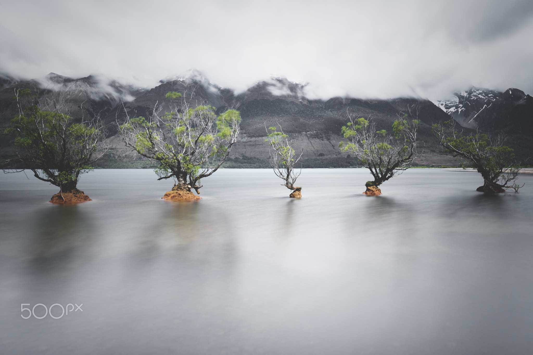 Glenorchy Trees