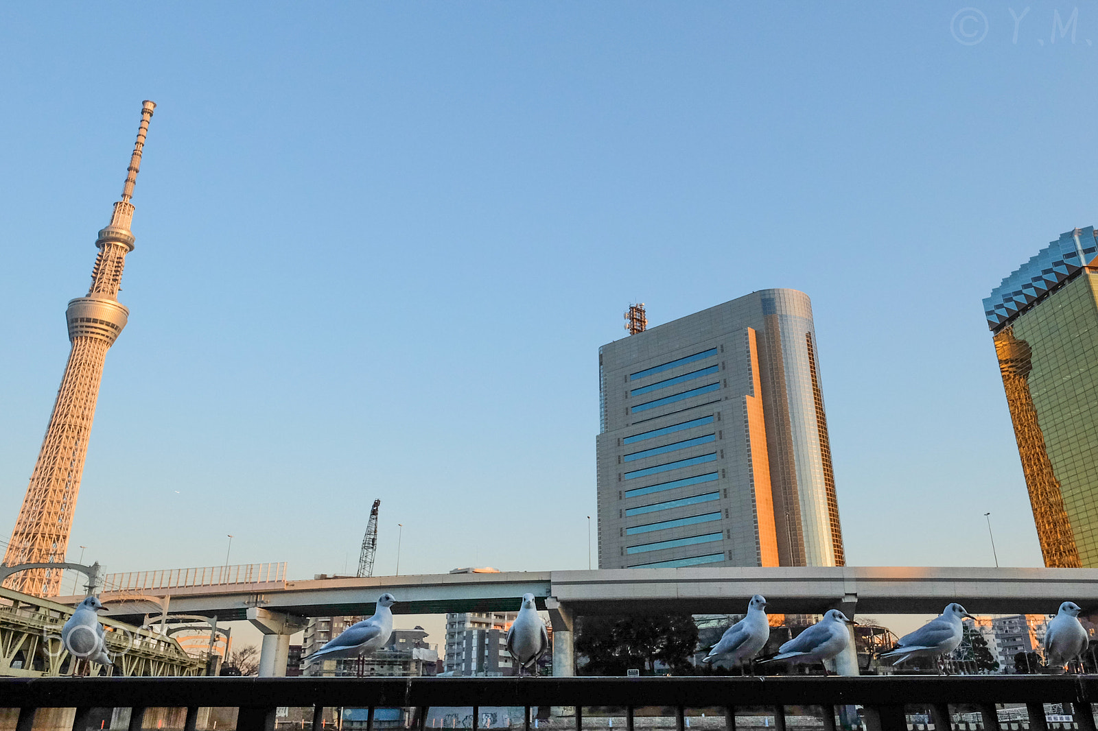 Fujifilm X-M1 + Fujifilm XF 14mm F2.8 R sample photo. Tokyo skytree photography