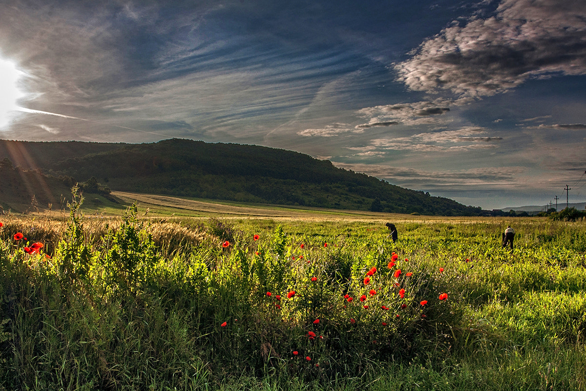 Sigma 10-20mm F3.5 EX DC HSM sample photo. Rural scene photography