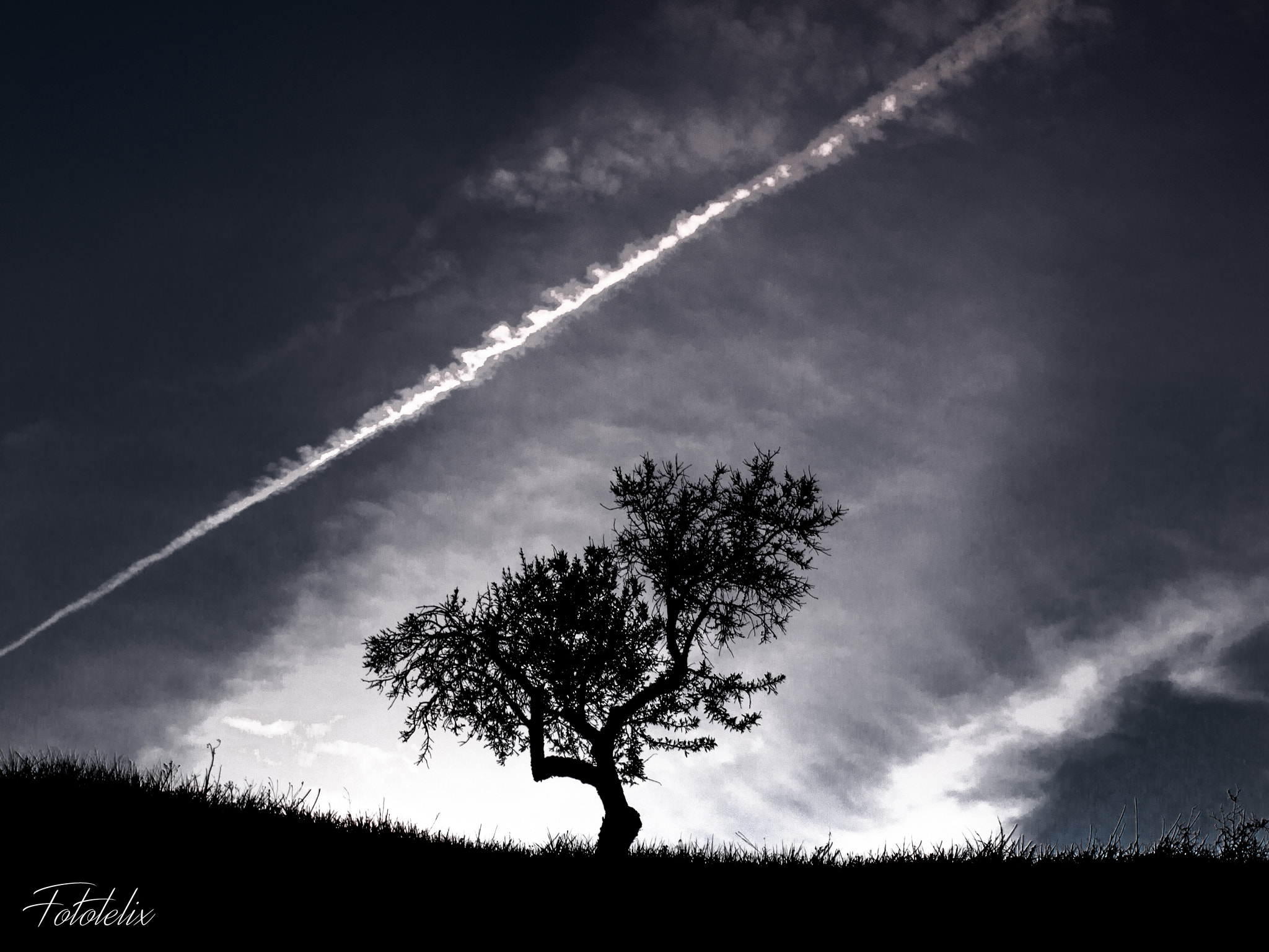 OLYMPUS 14-42mm Lens sample photo. The sky and me. photography