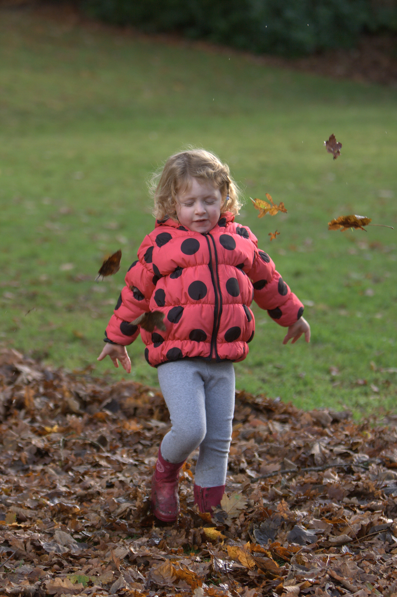 Canon EF 70-200mm F2.8L IS USM sample photo. Autumn leaves photography