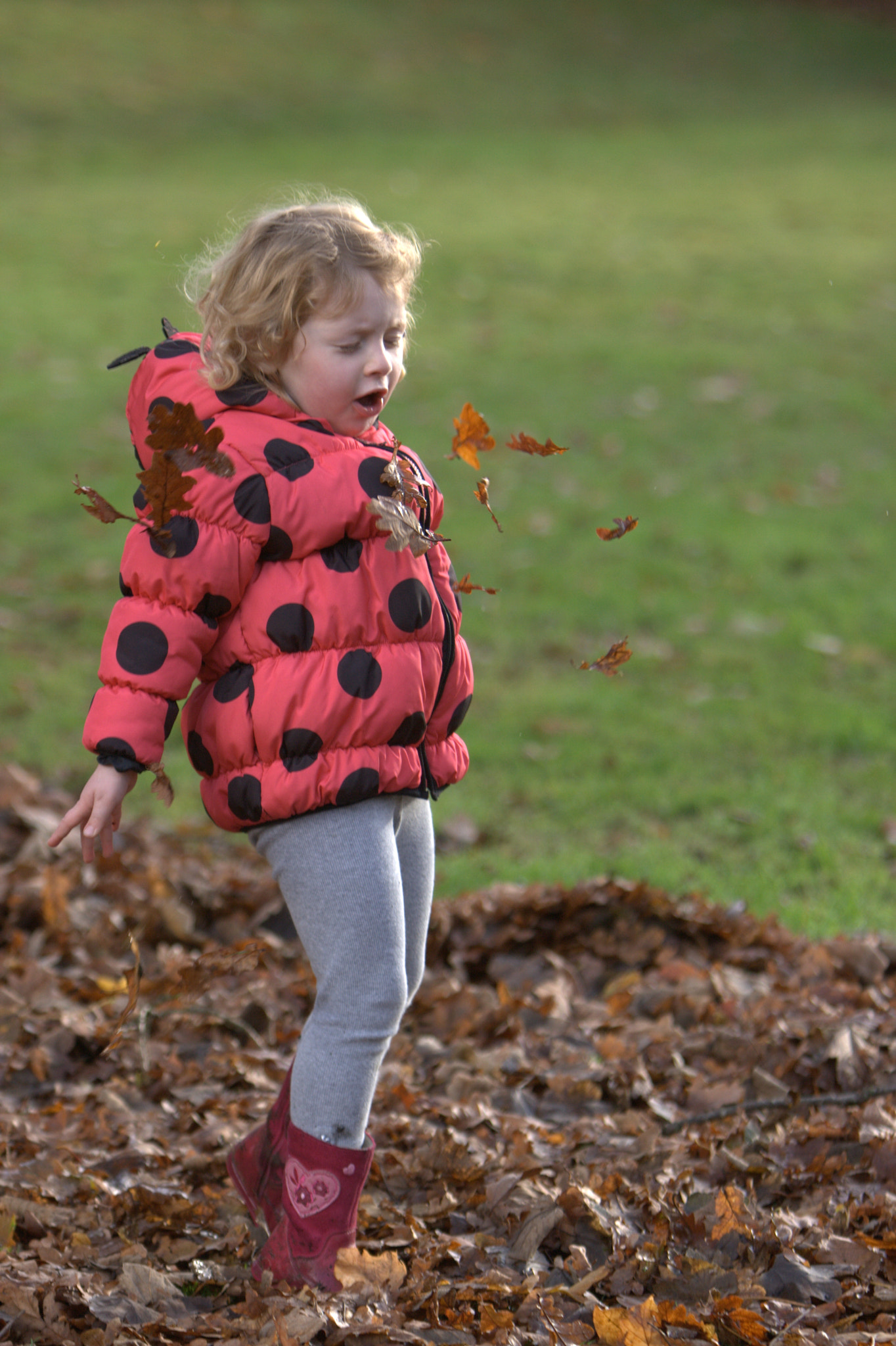 Canon EF 70-200mm F2.8L IS USM sample photo. Autumn leaves photography