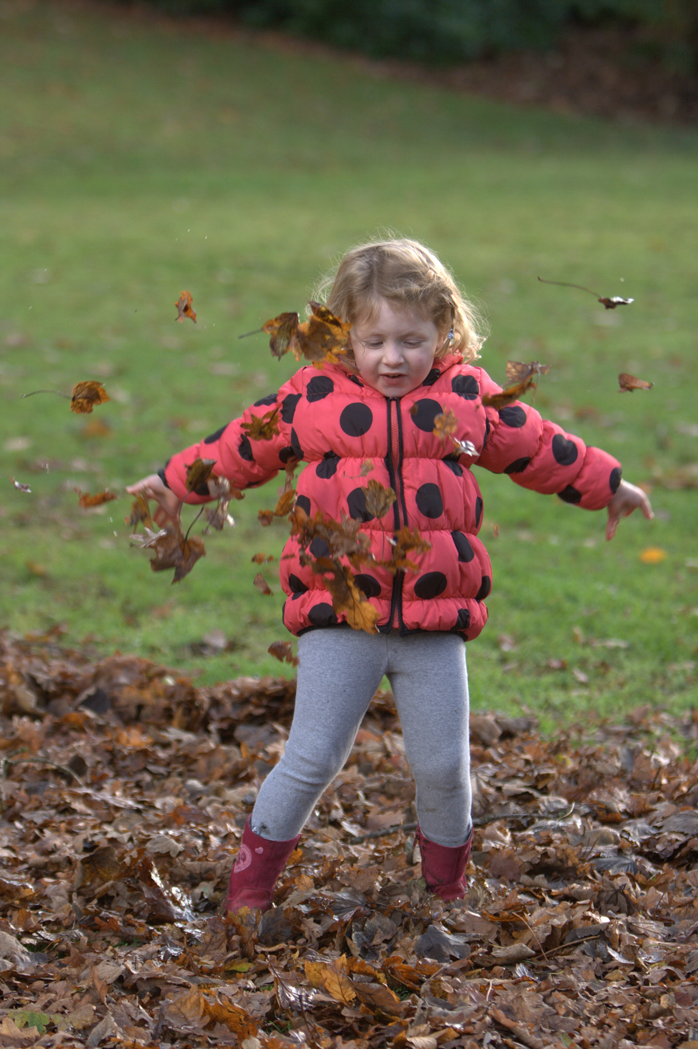 Canon EF 70-200mm F2.8L IS USM sample photo. Autumn leaves photography