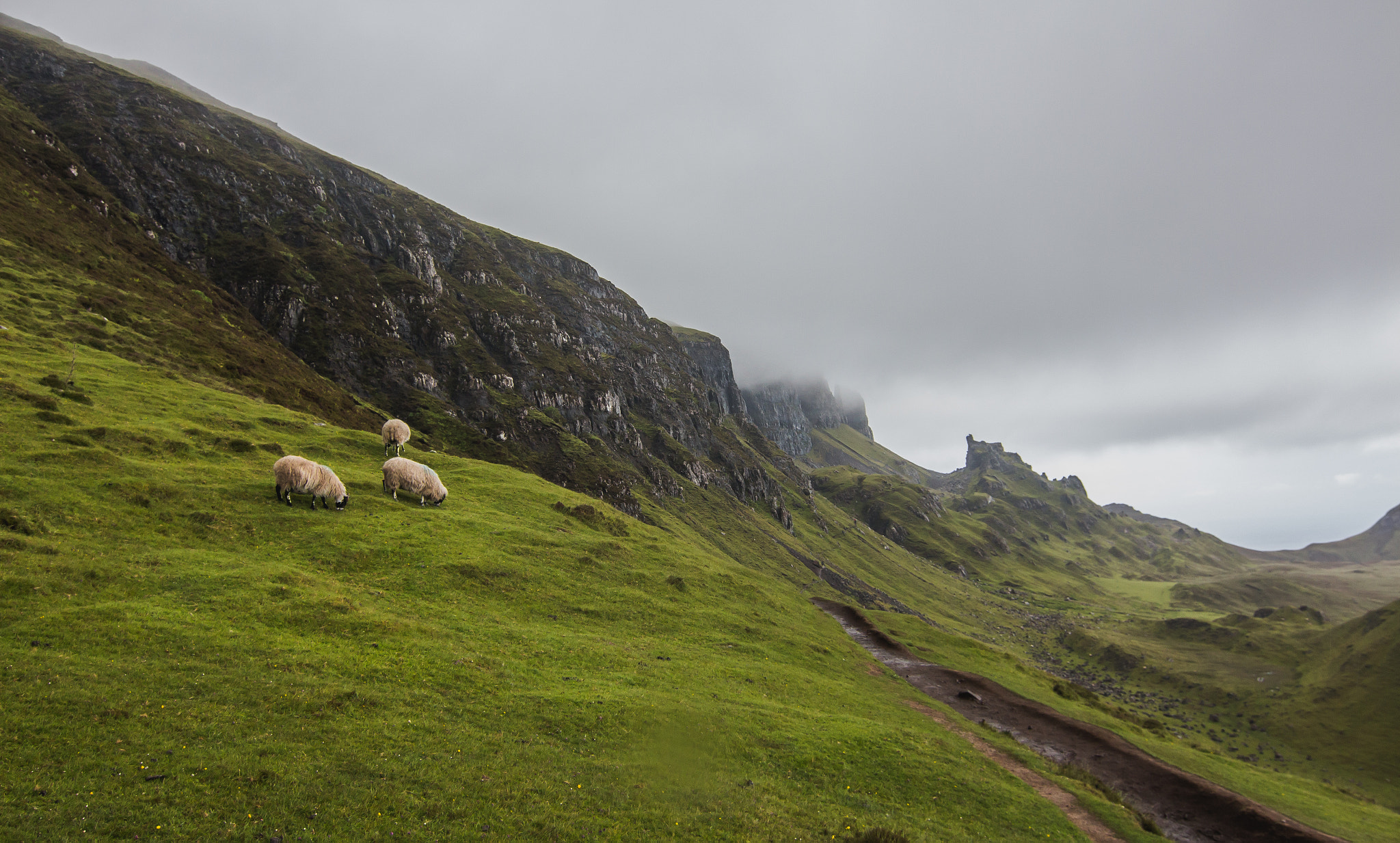 Canon EOS 650D (EOS Rebel T4i / EOS Kiss X6i) sample photo. Quiraing locals photography