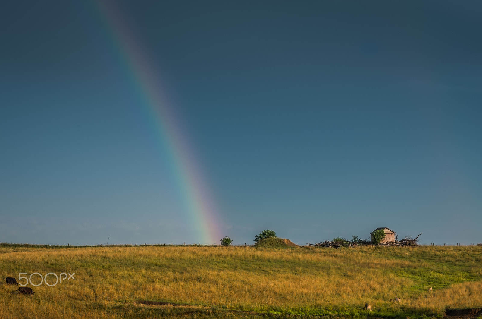 Pentax K-5 IIs sample photo. Rainbow field photography