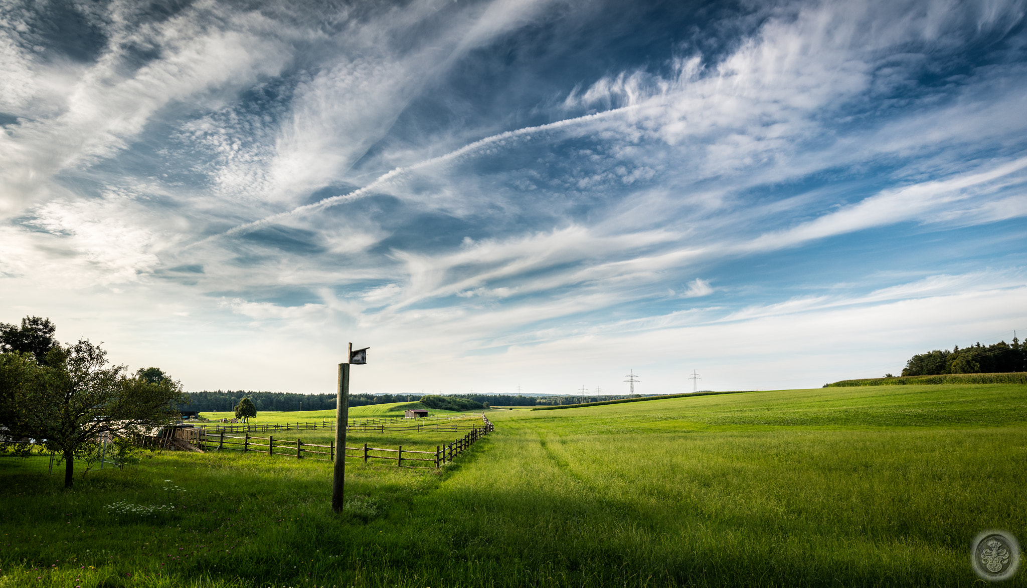 Canon EOS 5DS + Canon EF 16-35mm F4L IS USM sample photo. ....bird-house... photography