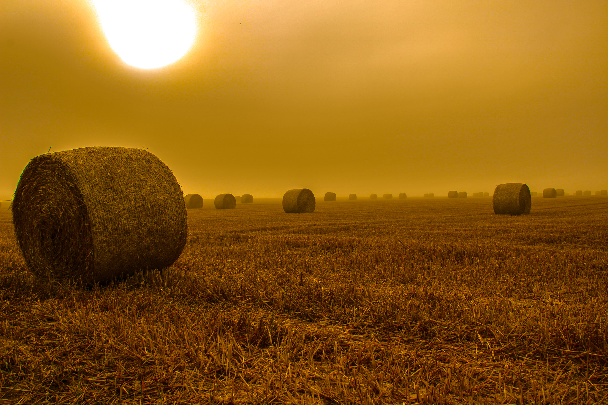Canon EOS 100D (EOS Rebel SL1 / EOS Kiss X7) sample photo. Round baller in the foggy countryside photography