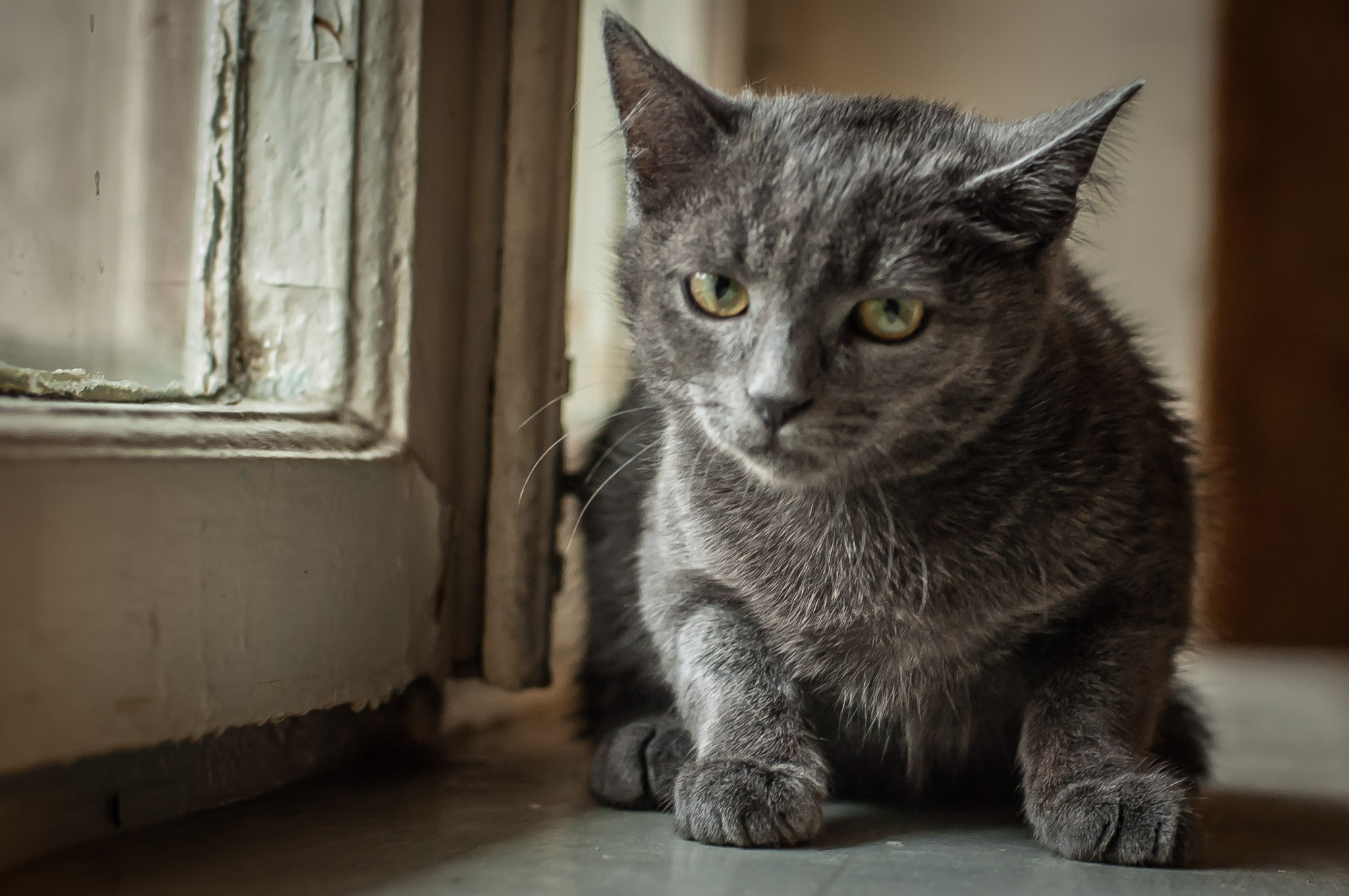 Nikon D70s + Nikon AF Nikkor 50mm F1.4D sample photo. Джейсон photography