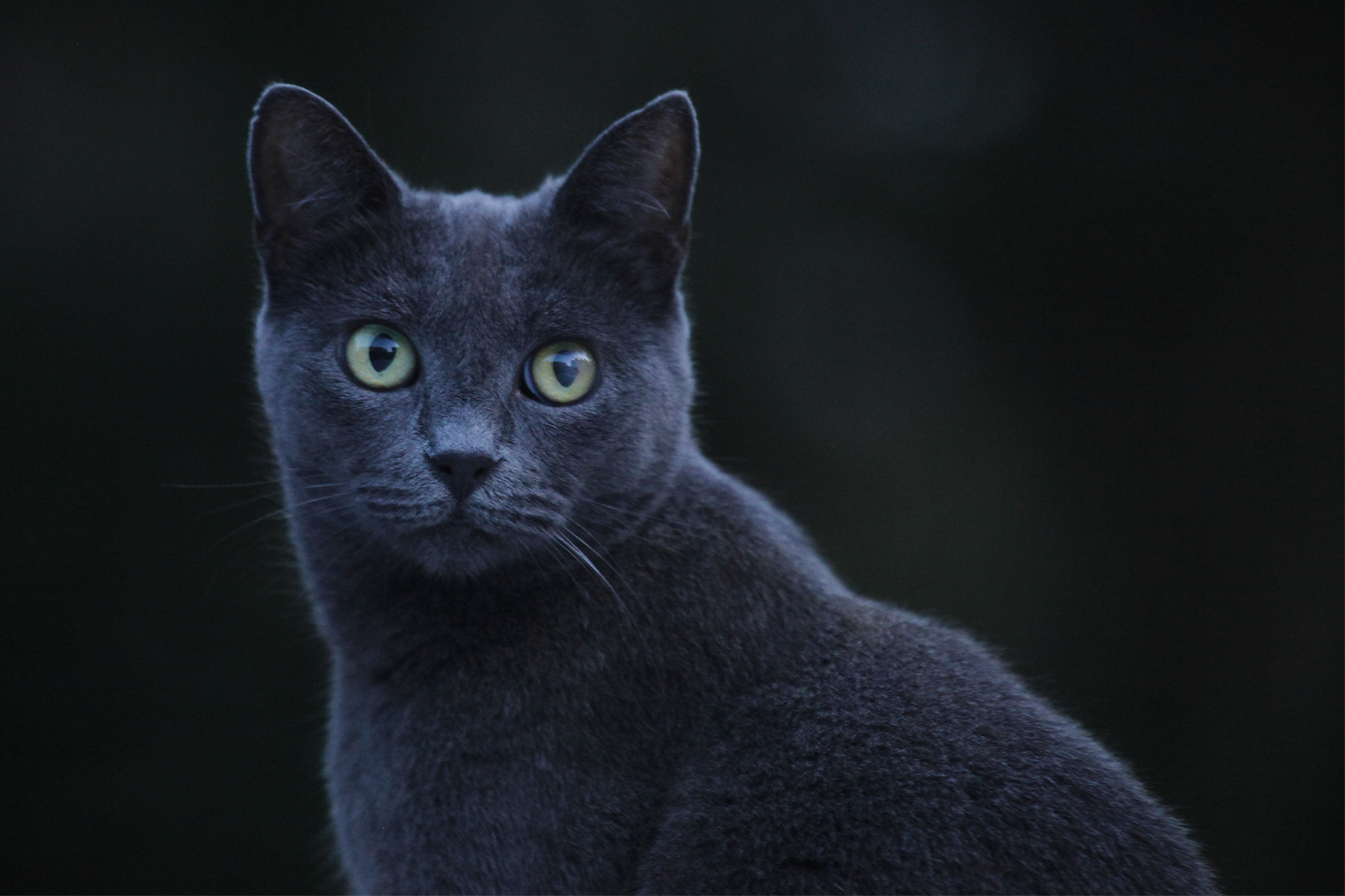 Canon EF 100-400mm F4.5-5.6L IS USM sample photo. Smoky al crepuscolo photography