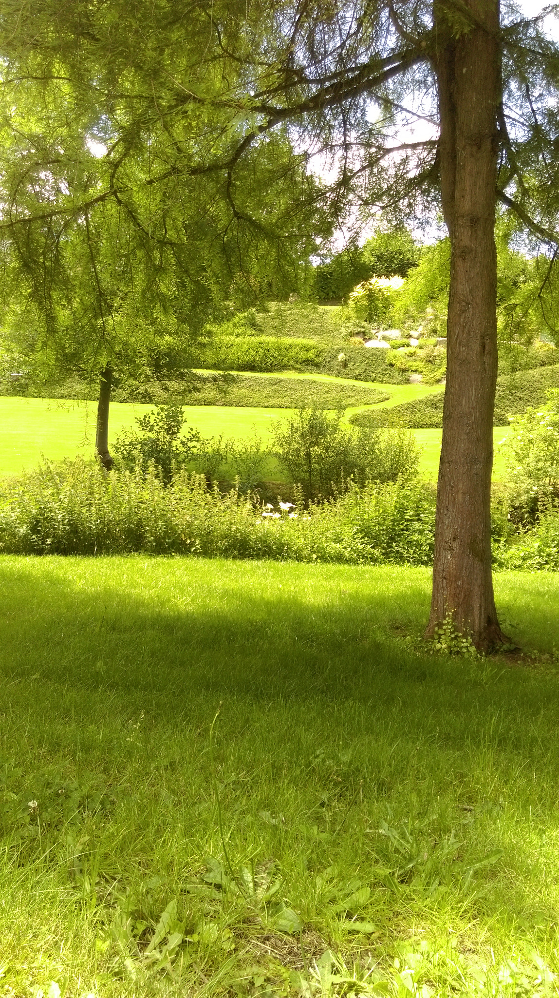 HTC DESIRE 820 sample photo. Nature photography