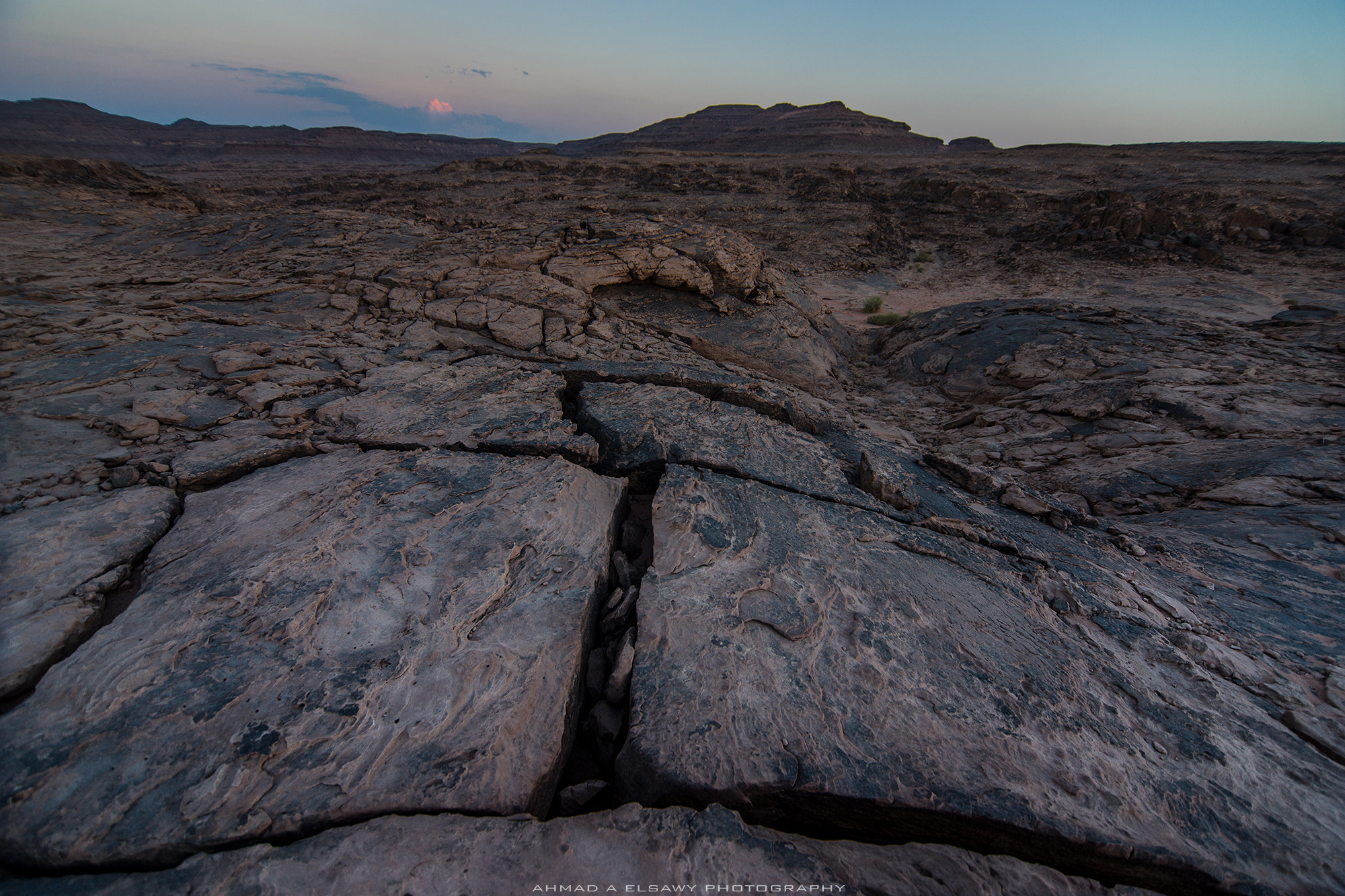 Sony a99 II + 20mm F2.8 sample photo. Cracks photography