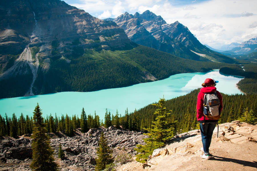 Sigma 17-50mm F2.8 EX DC OS HSM sample photo. Peyto photography