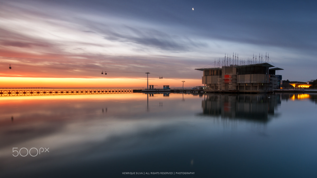 Tokina AT-X Pro 12-24mm F4 (IF) DX sample photo. The lisbon oceanarium photography