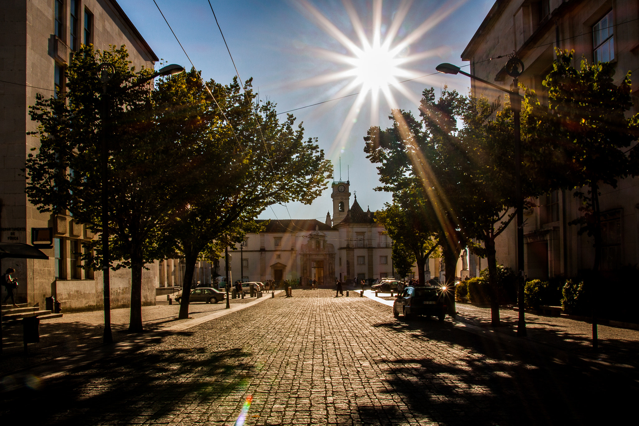 Canon EOS 50D sample photo. Sun light (world photography day) photography