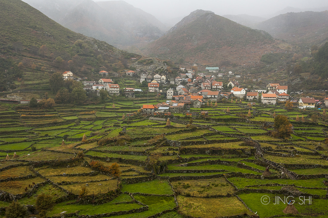 Nikon D50 sample photo. Terraces of roucas photography