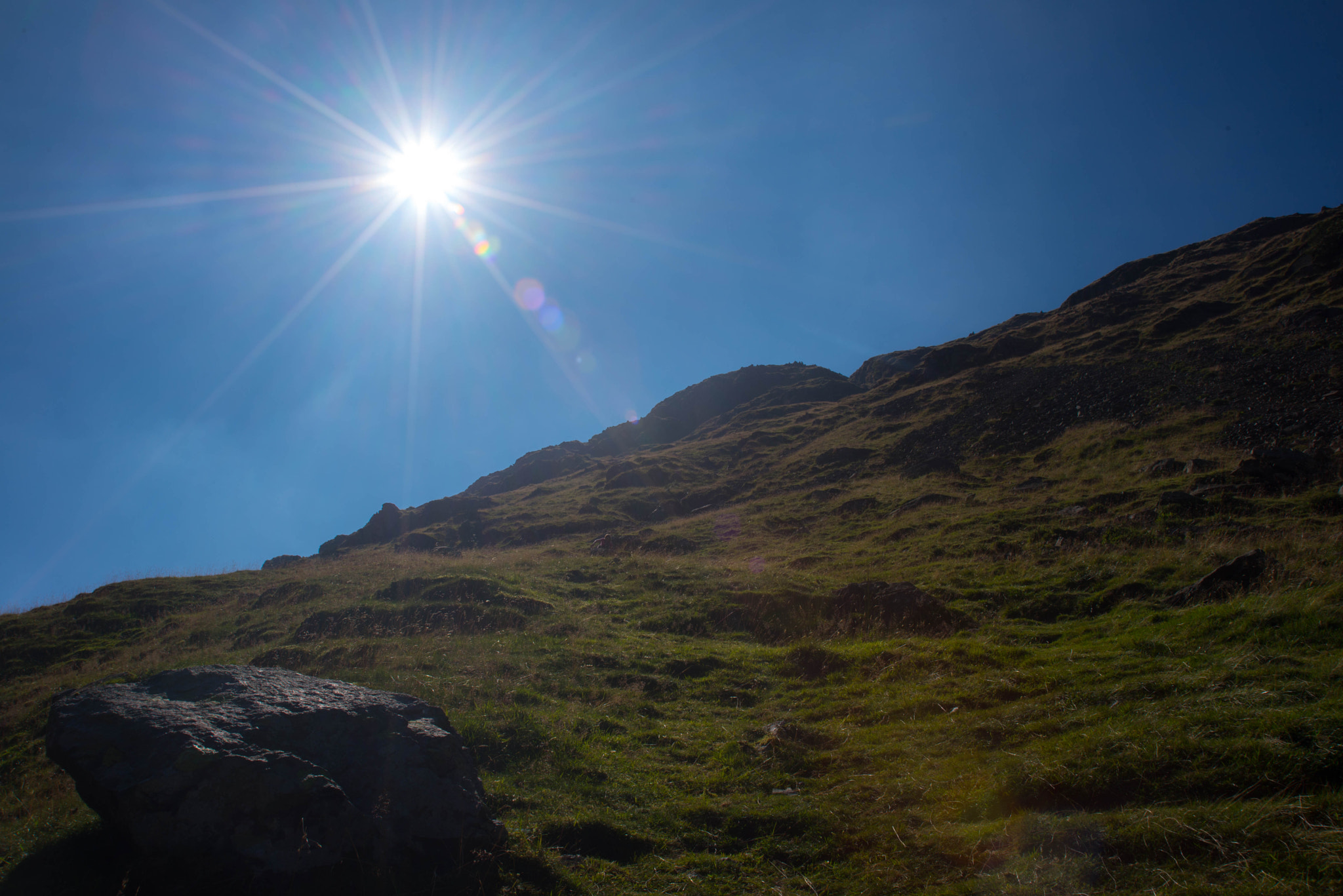 AF Zoom-Nikkor 28-105mm f/3.5-4.5D IF sample photo. Sun is shinning photography