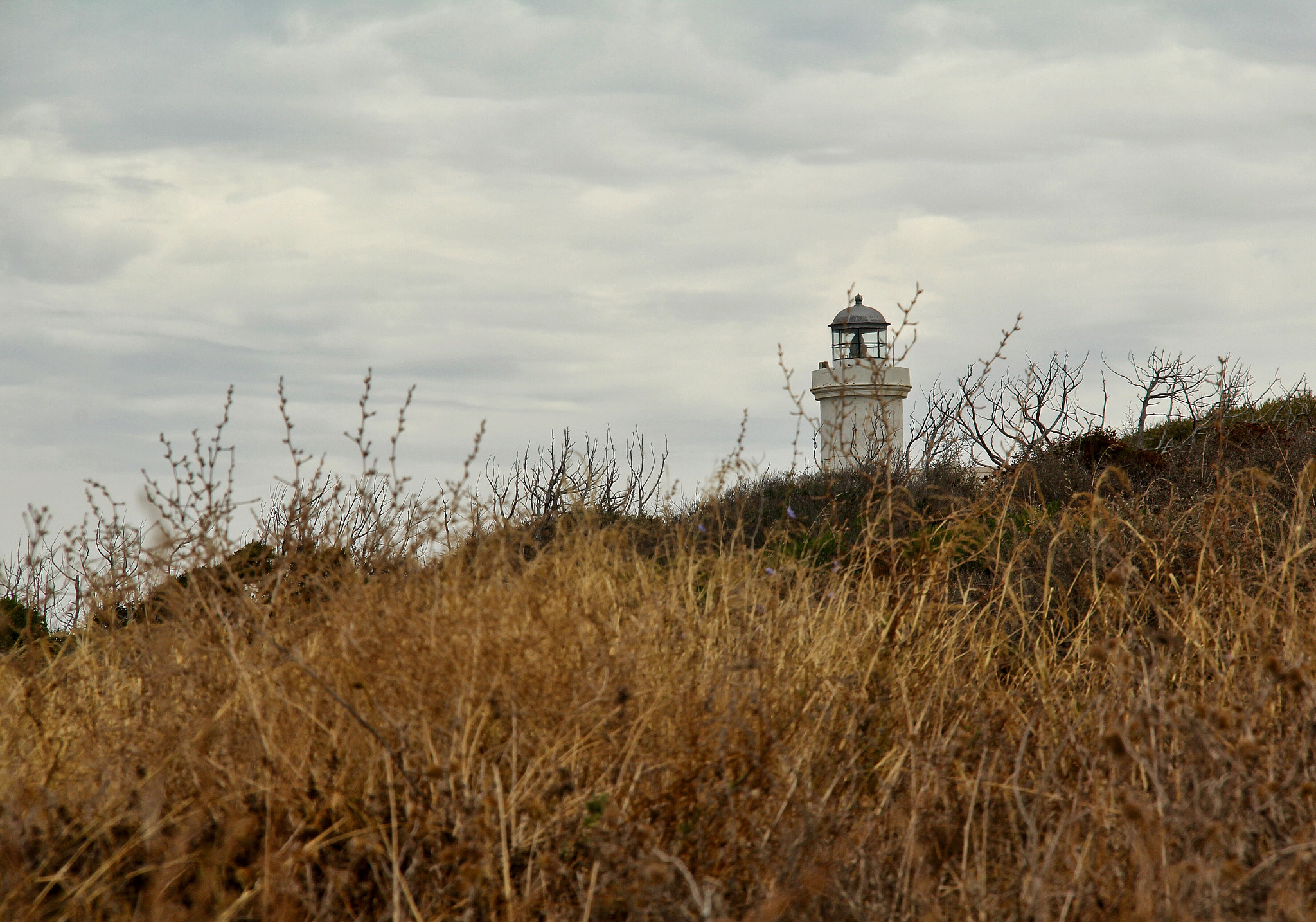Canon EF-S 18-200mm F3.5-5.6 IS sample photo. Faro photography