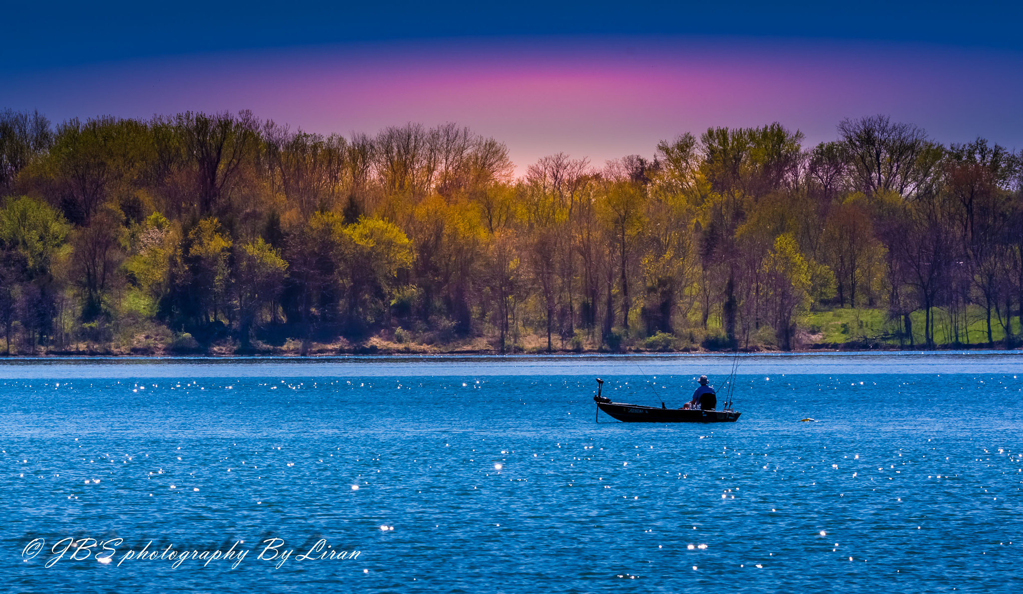 Sigma 150-600mm F5-6.3 DG OS HSM | C sample photo