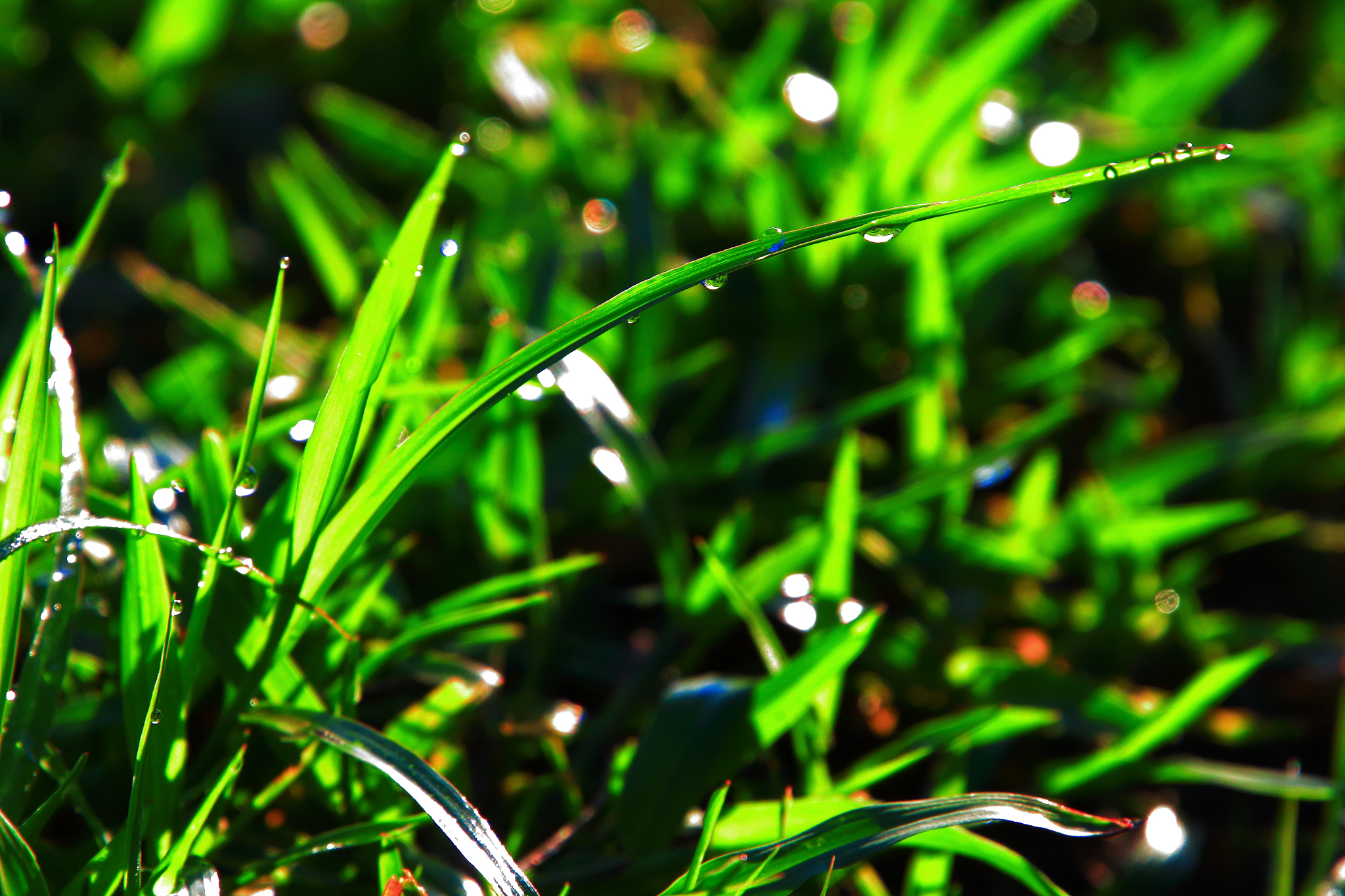 Canon EOS M sample photo. Magic hour photography