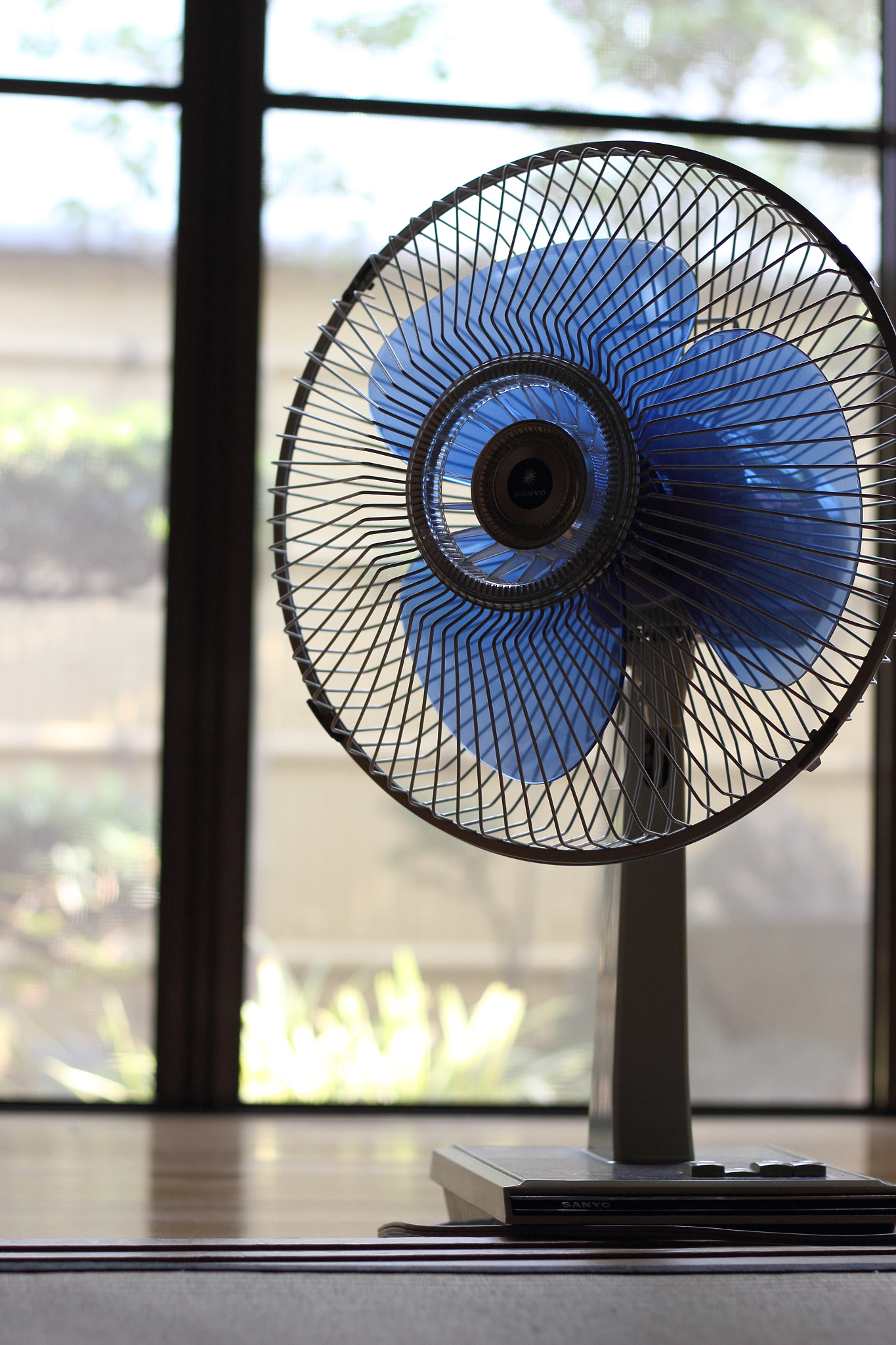 Canon EOS 600D (Rebel EOS T3i / EOS Kiss X5) sample photo. Summer photography