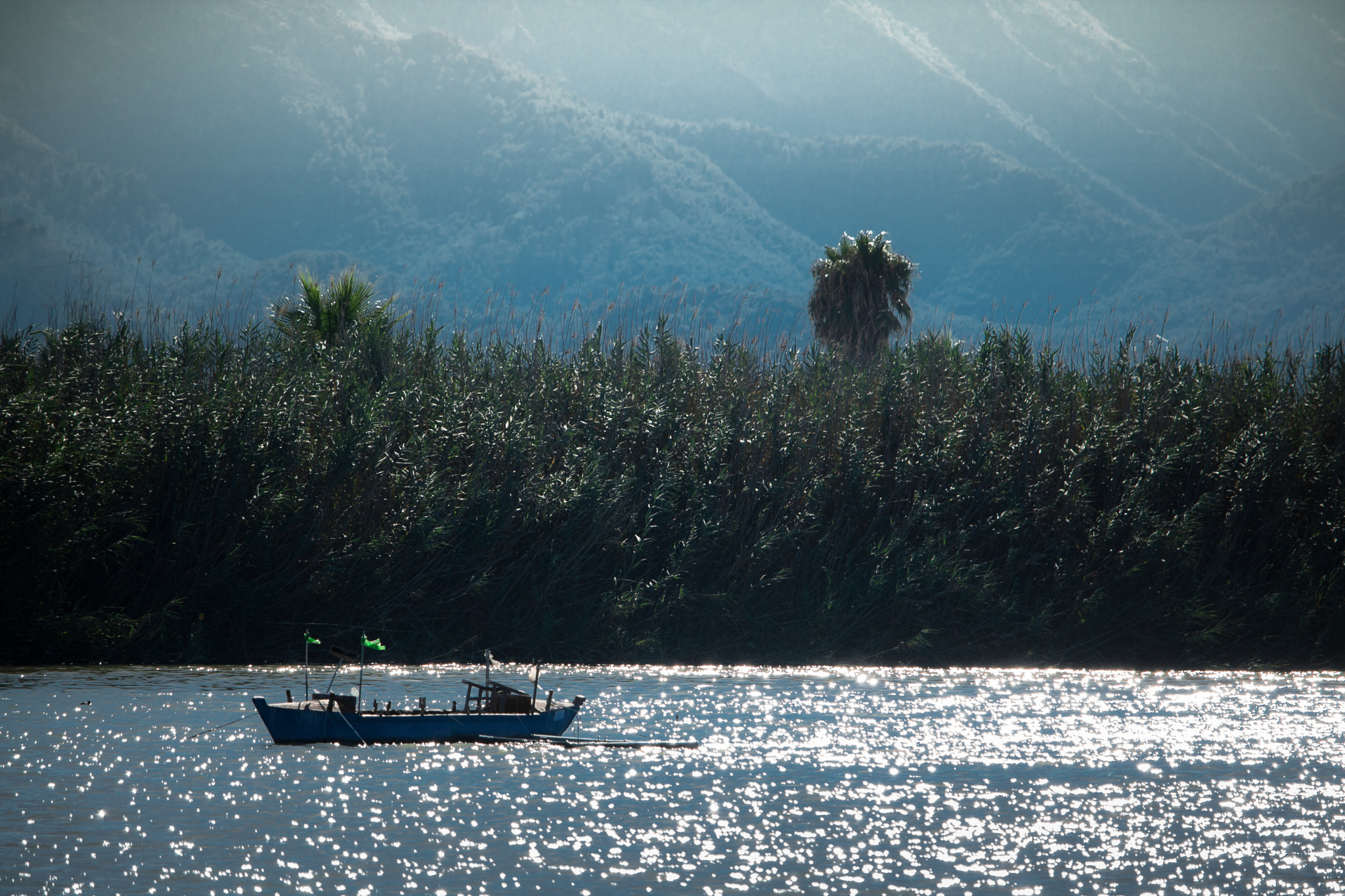 Canon EF-S 55-250mm F4-5.6 IS STM sample photo. The quiet mind photography