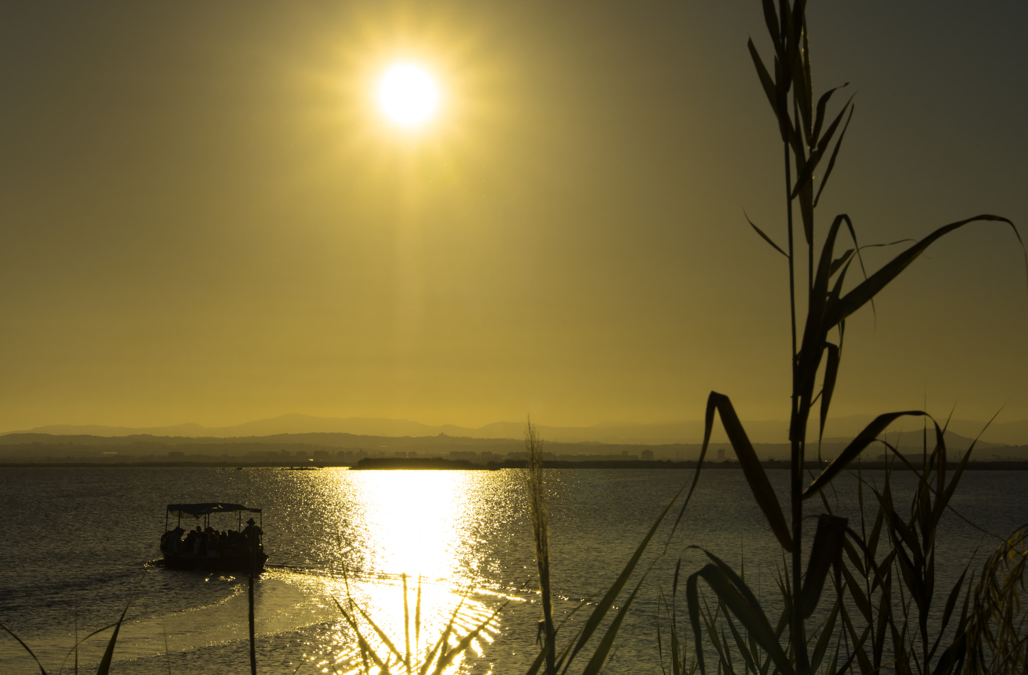 Canon EF-S 55-250mm F4-5.6 IS STM sample photo. Dark ochre silence photography
